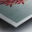 Indian Reed  Metal print