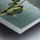 American Bog Plants Impression metal