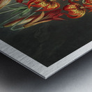 The Superb Lily Metal print