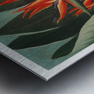 The Queen–Plant  Metal print