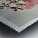 Large–Flowering Sensitive Plant Metal print