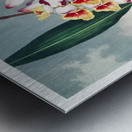 The Nodding Renealmia Metal print