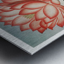 The Sacred Egyptian Bean Metal print