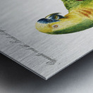 Pappagallo verde del Brasile col capo giallo e fronte celeste Parrot Metal print