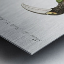 Tucana Aracari Brasilensibus Toucan Metal print