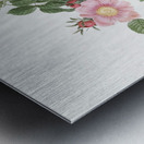 Dog rose in bloom Metal print