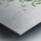 Vintage Austrian Briar rose Metal print