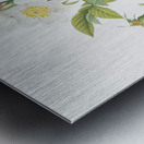 Vintage red rose Metal print