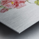 Four seasons rose in bloom Metal print