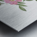 Pink boursault rose Metal print