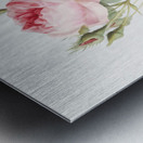 Vintage rosebush Metal print