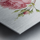 Pink agatha rose Metal print