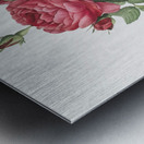 Red gallic rose Metal print