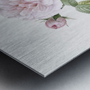Vintage rosa alba Metal print