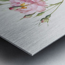 Anemone flowered sweetbriar rose Metal print