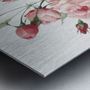 Anemone flowered sweetbriar rose Metal print