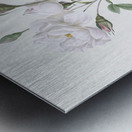 Vintage white rose Metal print