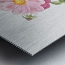 Speckled provins rose Metal print