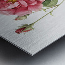Vintage rosa gallica rose Metal print