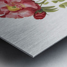 Pink provins rose Metal print