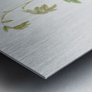 Vintage alpine rose Metal print