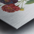 Van eeden rose Metal print