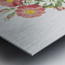 Blooming pink roses Metal print