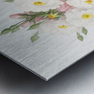 Flowering rosebush Metal print