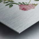 Pink french roses Metal print