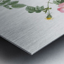 Pink Austrian copper rose Impression metal