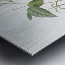 Red bengal rose Metal print