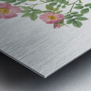 Vintage Provence rose Metal print