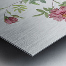 Vintage cinnamon rose Metal print