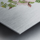 Vintage thornless Burnet rose Metal print