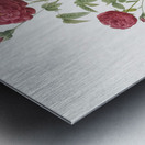 Burgundy cabbage rose in bloom Metal print