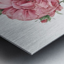 Burgundy cabbage rose in bloom Metal print