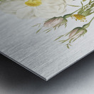 White rose of york Metal print