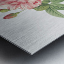 Pink french rosebush Metal print