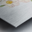 Blooming damask roses Metal print