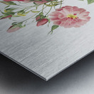 Hudson rose in bloom Metal print