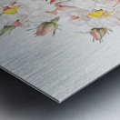 White damask rose Metal print