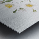 White field roses Metal print