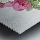 Pink bourbon roses Metal print