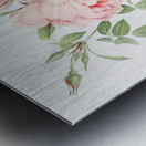 Blooming pink roses Metal print