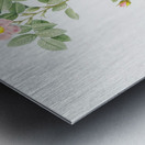 Blooming pink roses Metal print