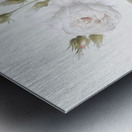 White misty rose Metal print