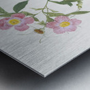 Pink alpine roses Metal print