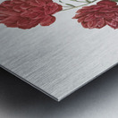 Anemone flowered rose Metal print