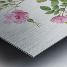 Pink flowering rosebush Metal print