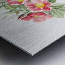 Blooming pink rosebush Metal print